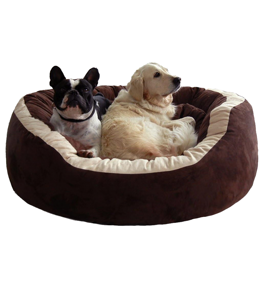 Comfort for Every Paw